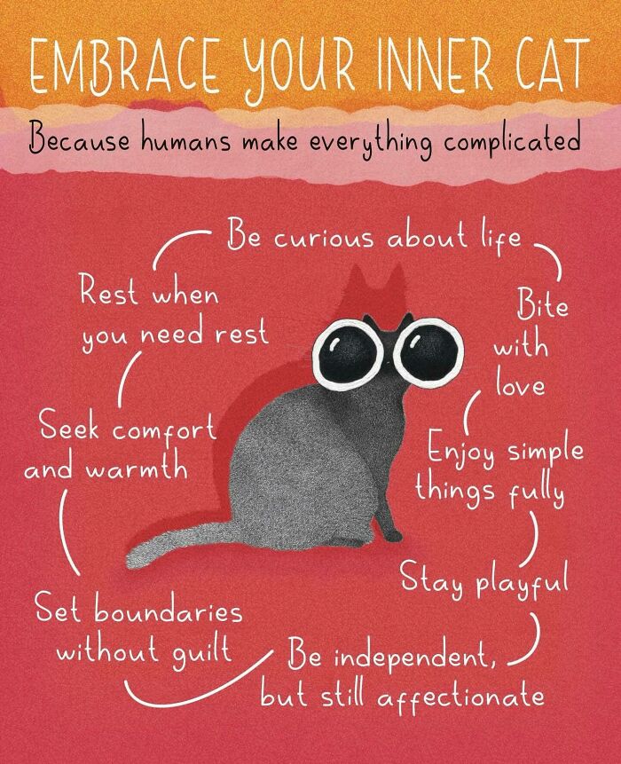 Wait, These Cat Comics Are Too Relatable! (35 Pics You'll Totally Get)