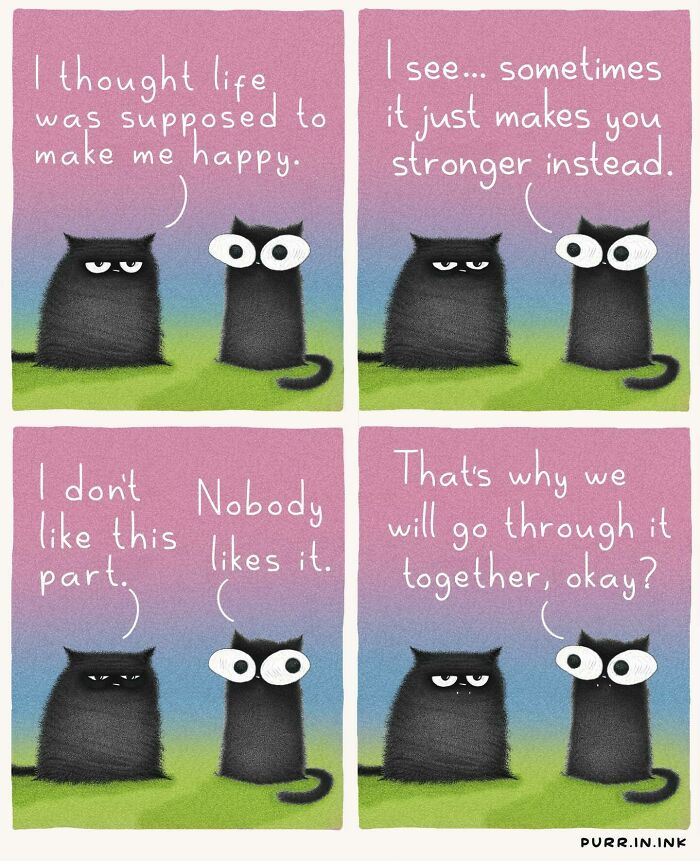 Wait, These Cat Comics Are Too Relatable! (35 Pics You'll Totally Get)