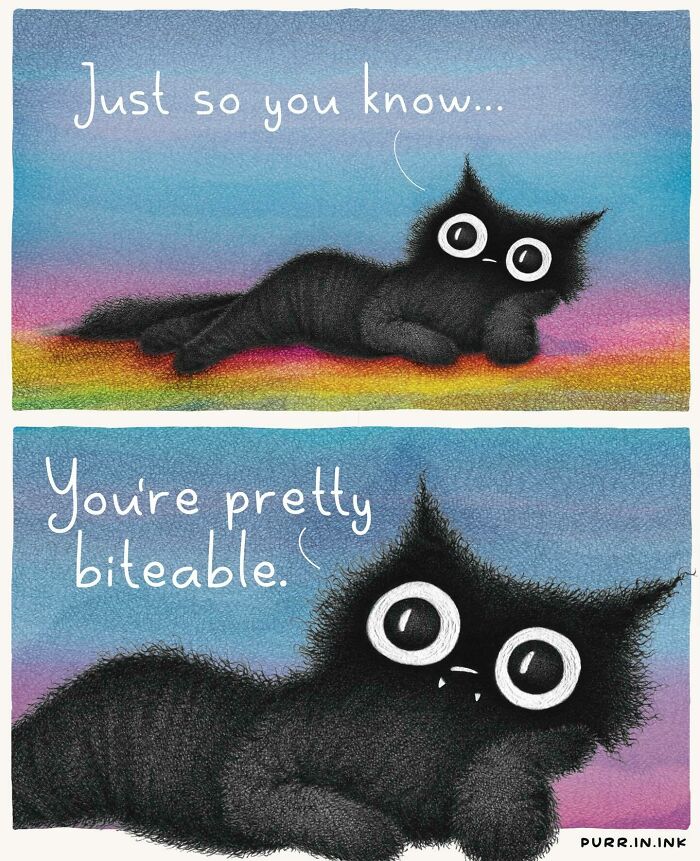 Wait, These Cat Comics Are Too Relatable! (35 Pics You'll Totally Get)