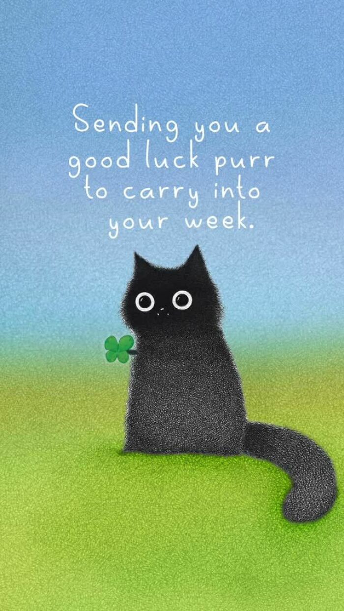 Wait, These Cat Comics Are Too Relatable! (35 Pics You'll Totally Get)