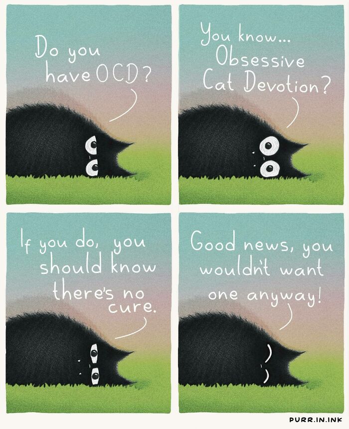 Wait, These Cat Comics Are Too Relatable! (35 Pics You'll Totally Get)