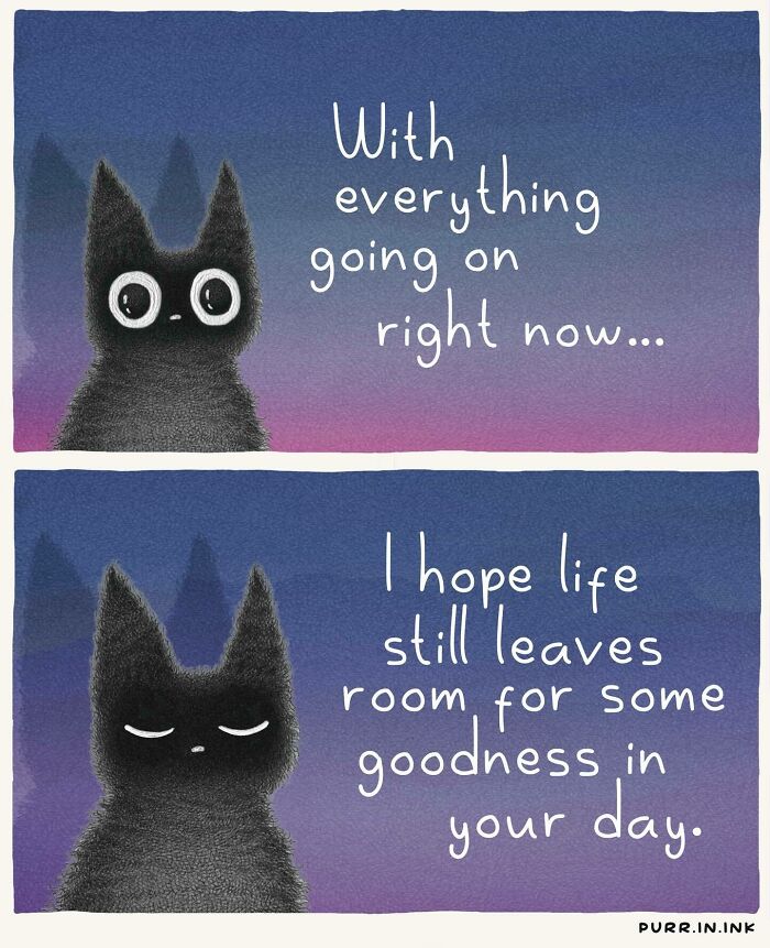 Wait, These Cat Comics Are Too Relatable! (35 Pics You'll Totally Get)
