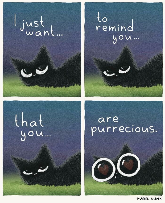Wait, These Cat Comics Are Too Relatable! (35 Pics You'll Totally Get)