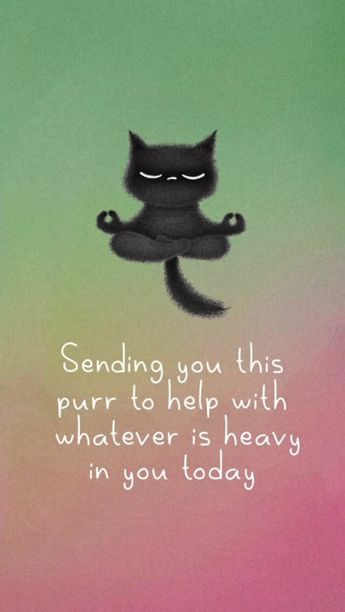 Wait, These Cat Comics Are Too Relatable! (35 Pics You'll Totally Get)