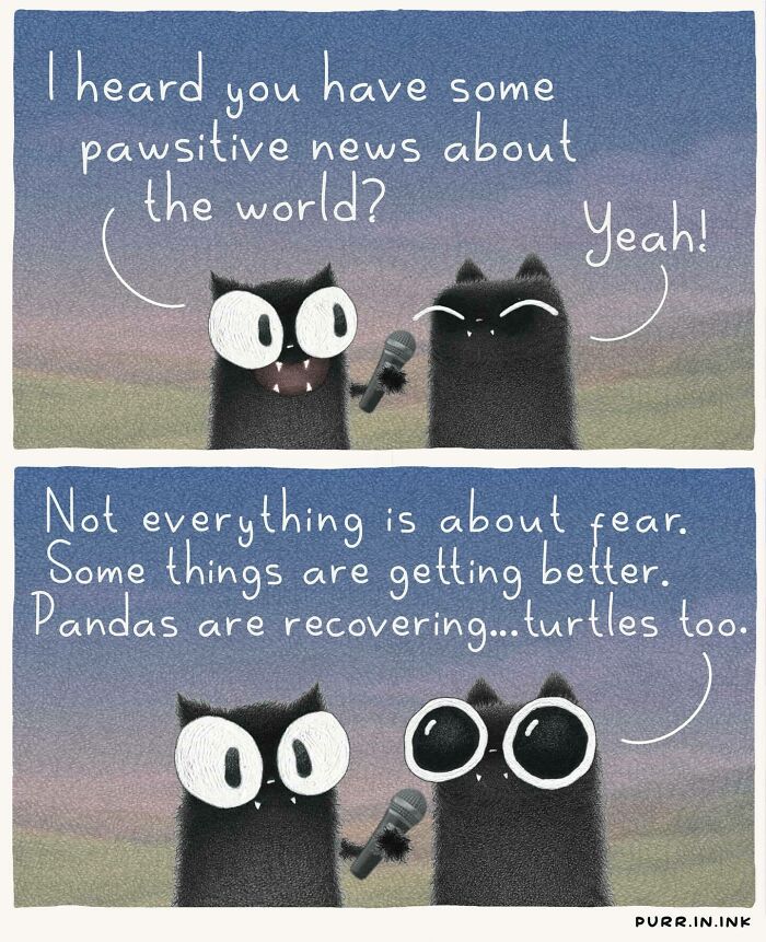 Wait, These Cat Comics Are Too Relatable! (35 Pics You'll Totally Get)
