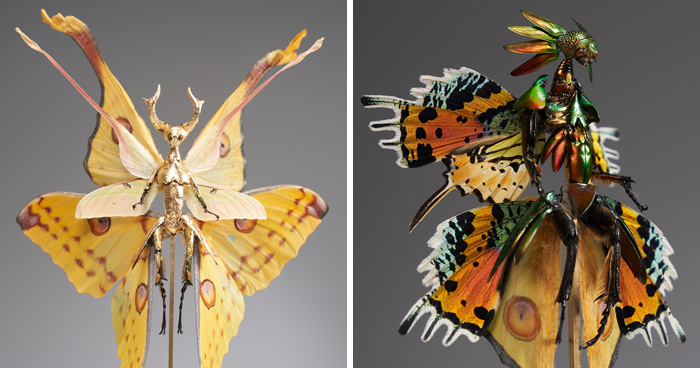 Wait, These Fairy Sculptures Are Made From Dead Bugs?!