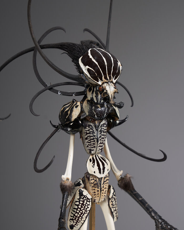 Wait, These Fairy Sculptures Are Made From Dead Bugs?!
