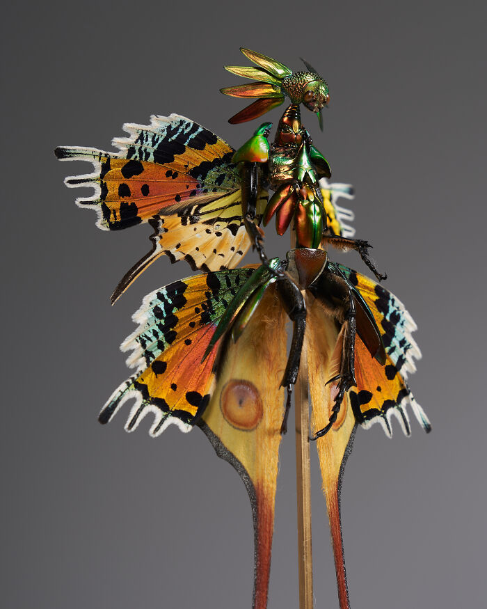 Wait, These Fairy Sculptures Are Made From Dead Bugs?!