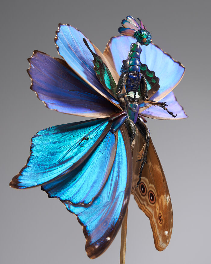 Wait, These Fairy Sculptures Are Made From Dead Bugs?!