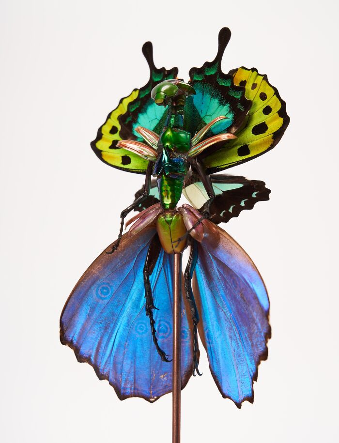 Wait, These Fairy Sculptures Are Made From Dead Bugs?!
