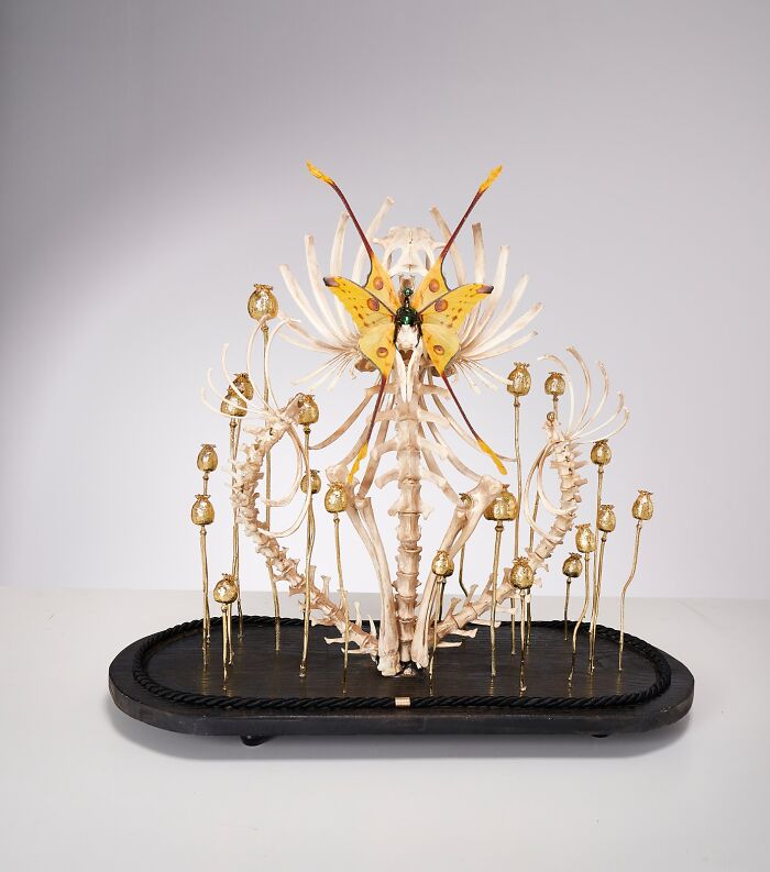 Wait, These Fairy Sculptures Are Made From Dead Bugs?!