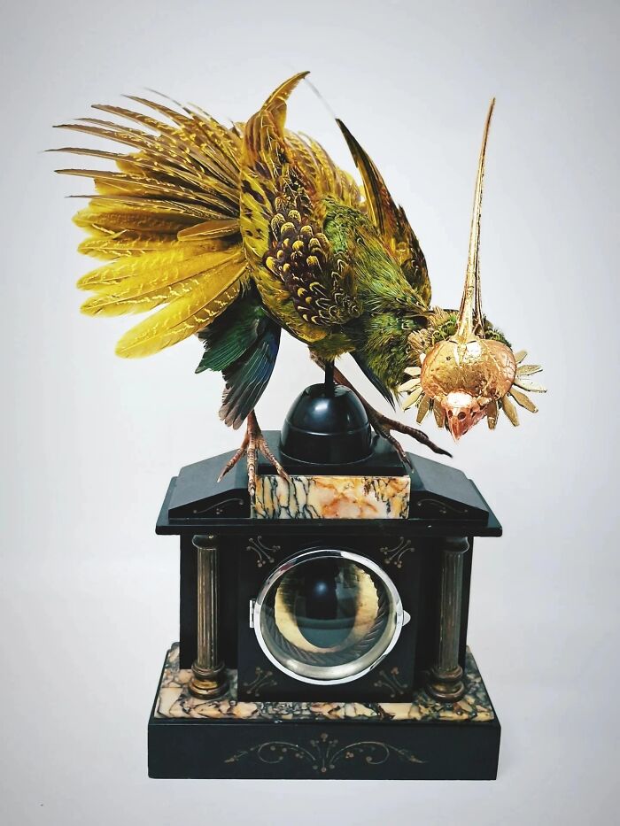 Wait, These Fairy Sculptures Are Made From Dead Bugs?!