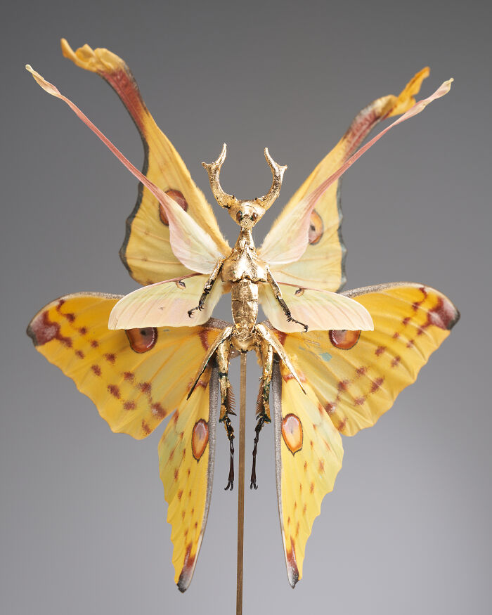 Wait, These Fairy Sculptures Are Made From Dead Bugs?!