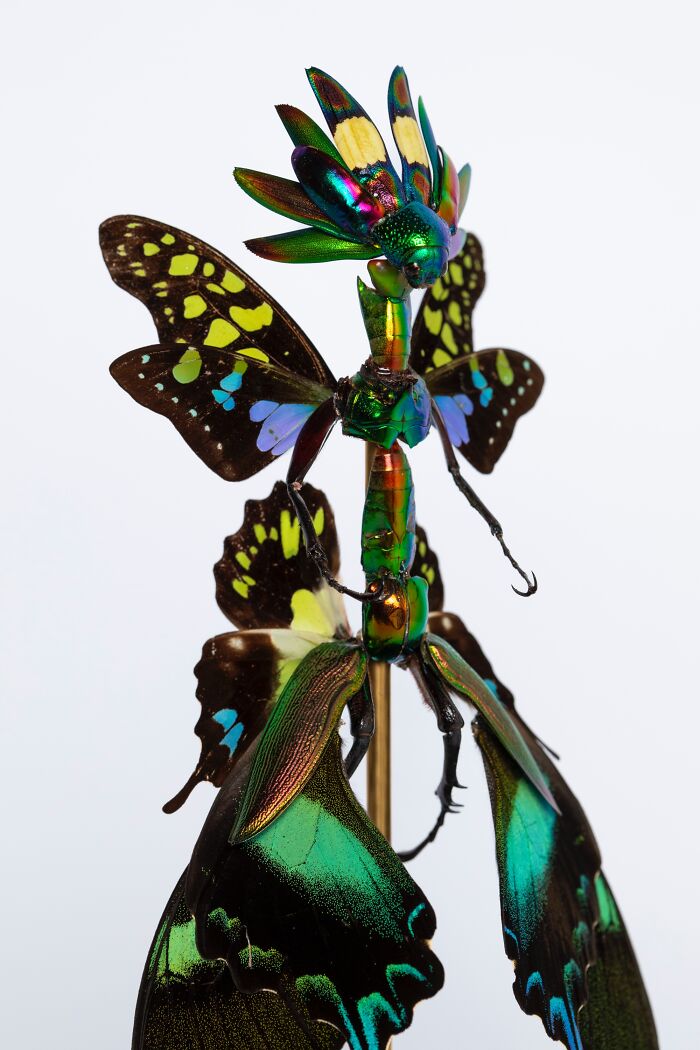 Wait, These Fairy Sculptures Are Made From Dead Bugs?!