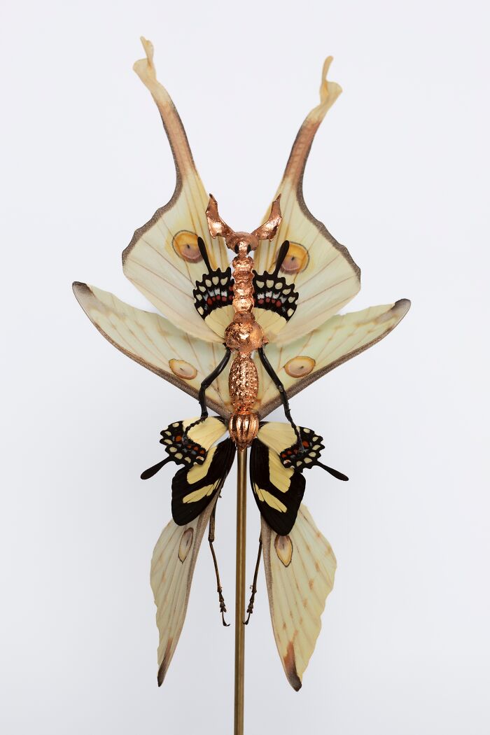 Wait, These Fairy Sculptures Are Made From Dead Bugs?!