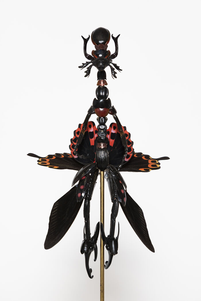 Wait, These Fairy Sculptures Are Made From Dead Bugs?!