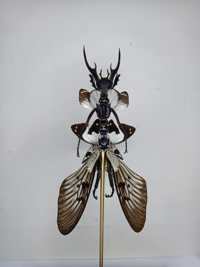 Wait, These Fairy Sculptures Are Made From Dead Bugs?!