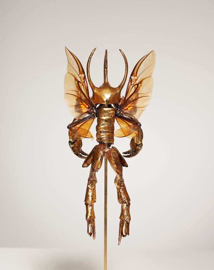 Wait, These Fairy Sculptures Are Made From Dead Bugs?!
