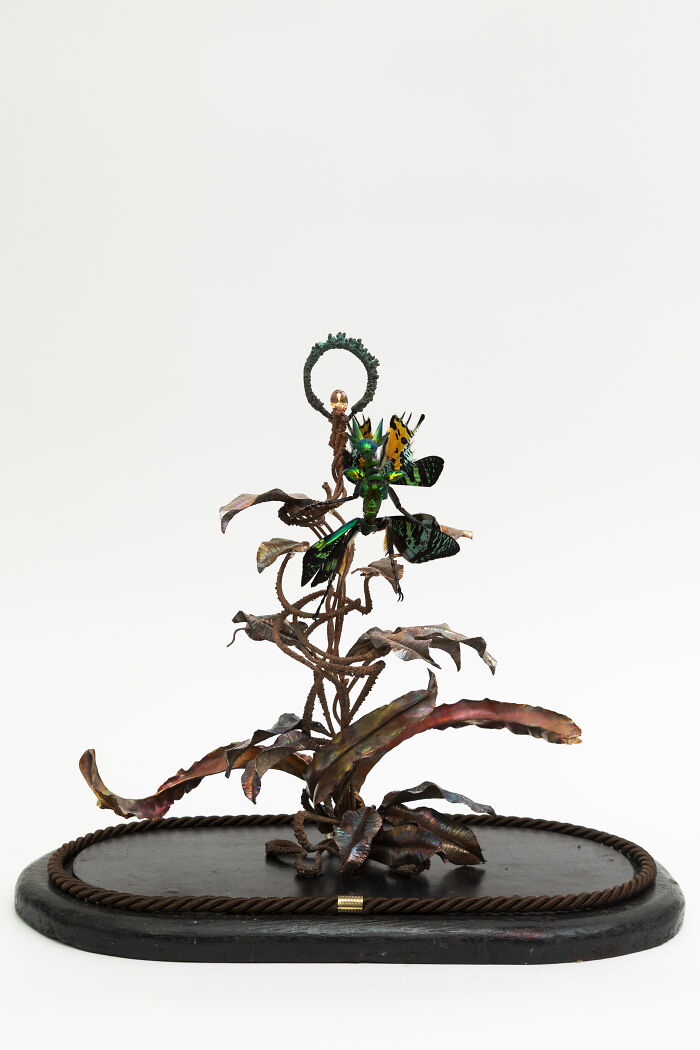 Wait, These Fairy Sculptures Are Made From Dead Bugs?!