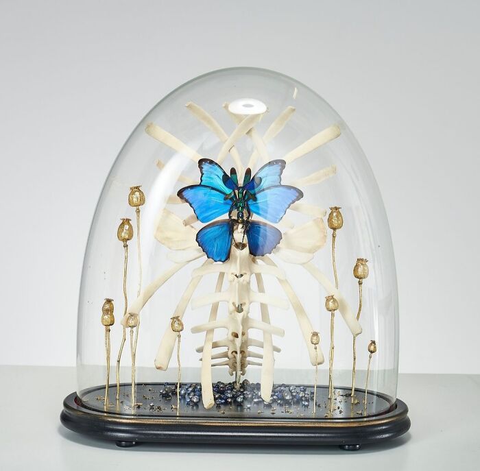 Wait, These Fairy Sculptures Are Made From Dead Bugs?!