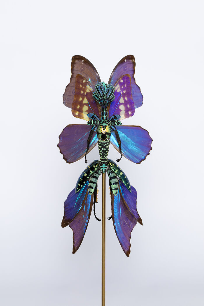 Wait, These Fairy Sculptures Are Made From Dead Bugs?!