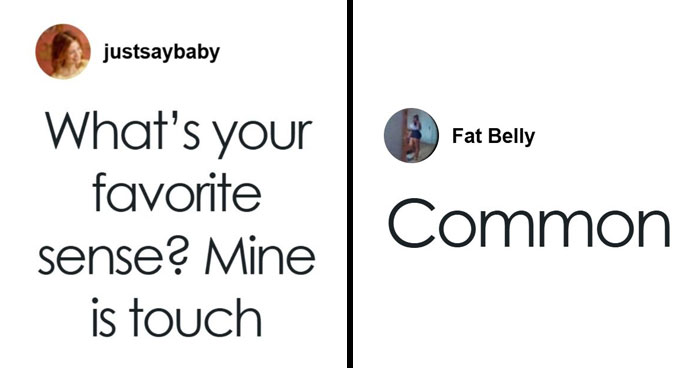 Wait, They Actually Commented This?! The Funniest Online Zingers Ever