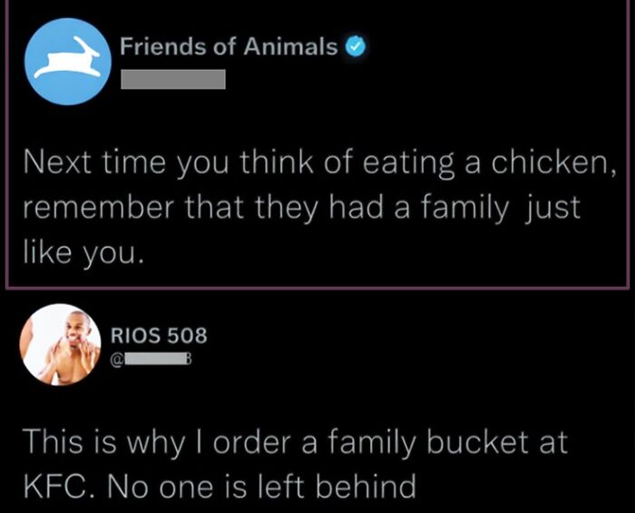 Wait, They Actually Commented This?! The Funniest Online Zingers Ever
