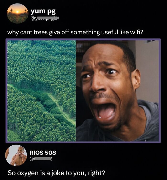 Wait, They Actually Commented This?! The Funniest Online Zingers Ever