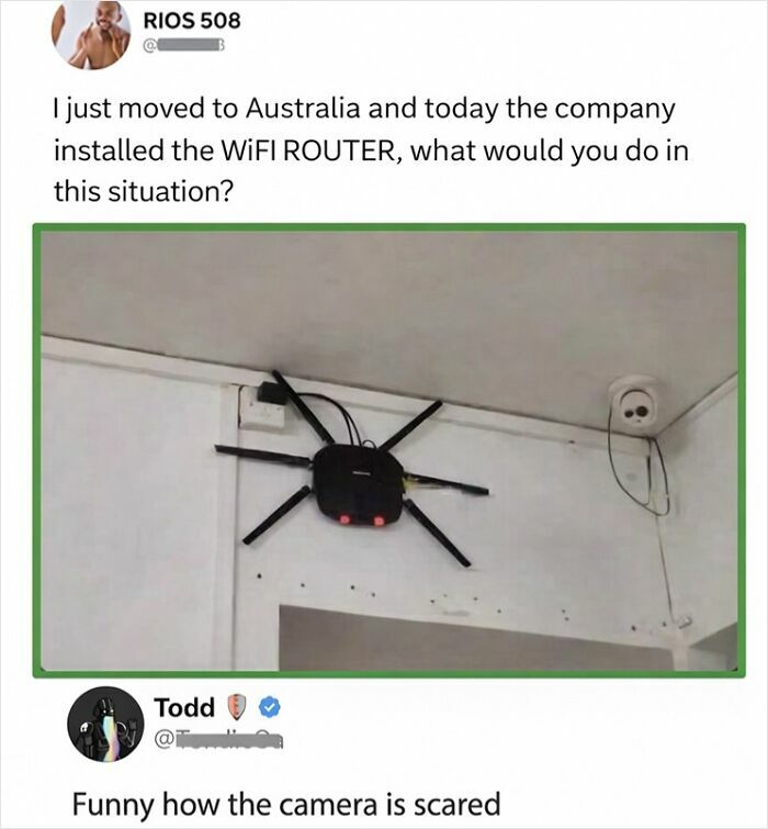 Wait, They Actually Commented This?! The Funniest Online Zingers Ever