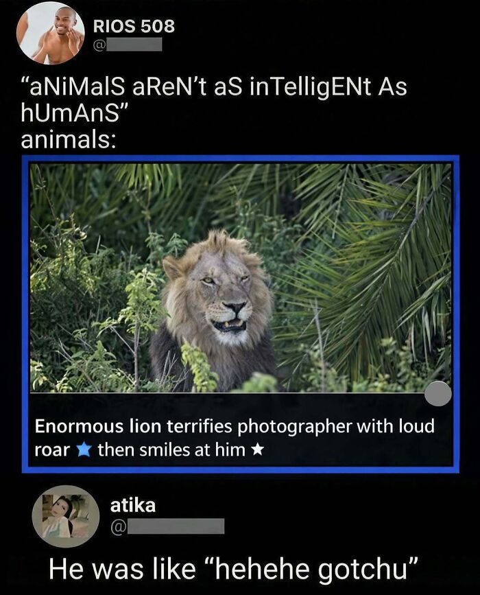 Wait, They Actually Commented This?! The Funniest Online Zingers Ever