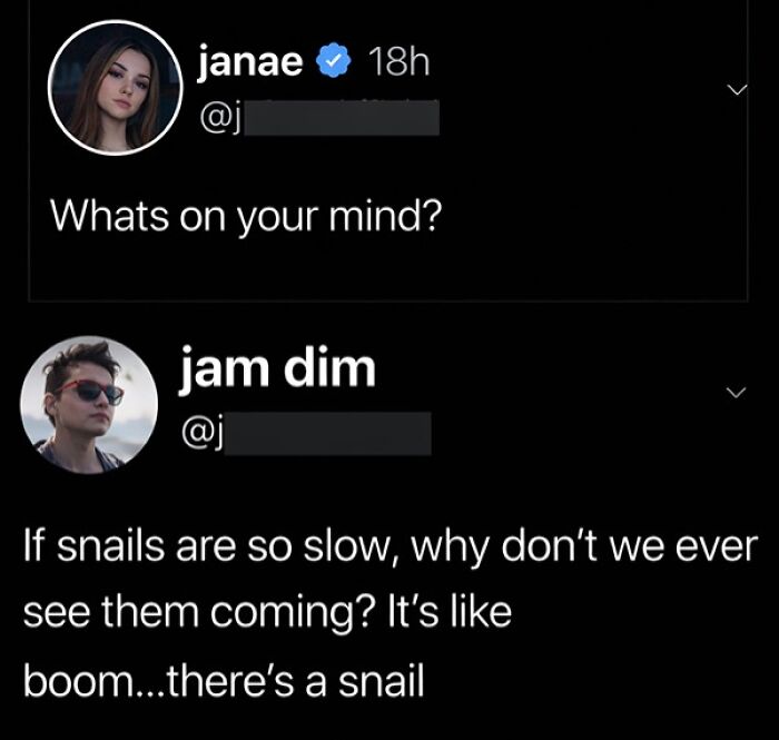 Wait, They Actually Commented This?! The Funniest Online Zingers Ever