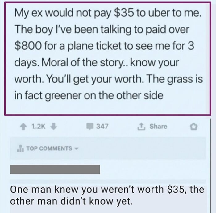 Wait, They Actually Commented This?! The Funniest Online Zingers Ever