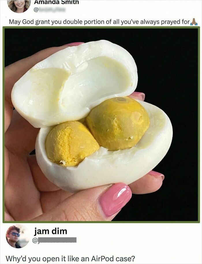 Wait, They Actually Commented This?! The Funniest Online Zingers Ever