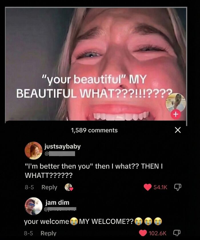 Wait, They Actually Commented This?! The Funniest Online Zingers Ever
