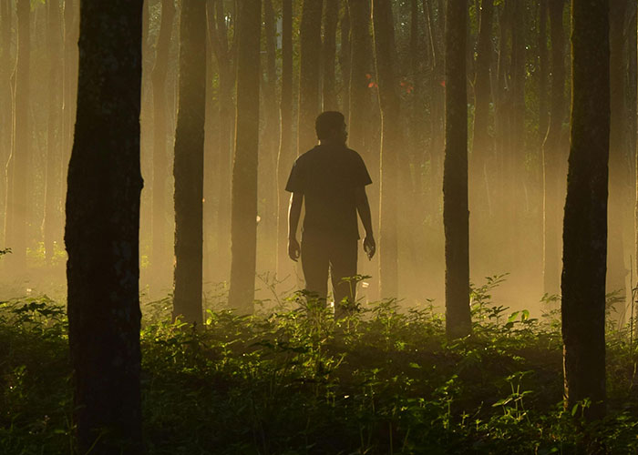 Yeah, People Just Straight-Up Vanished—Some Stories Will Blow Your Mind