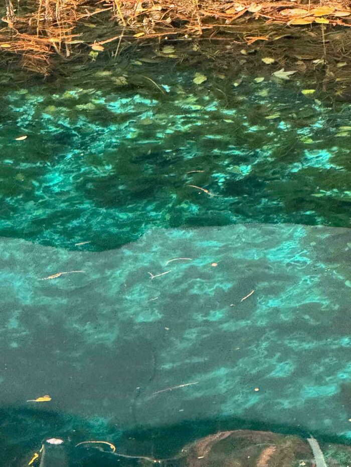 How Did The Water Turn That Bright Teal? Some Science Happened.