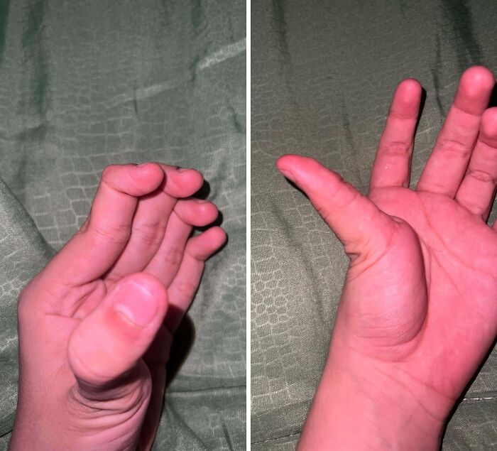Wait, They Actually Ranked HOW These Weird Things Work?!