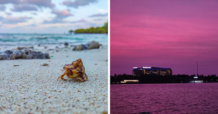 Wait, These Totally Random Photo Snaps Actually Look Amazing!