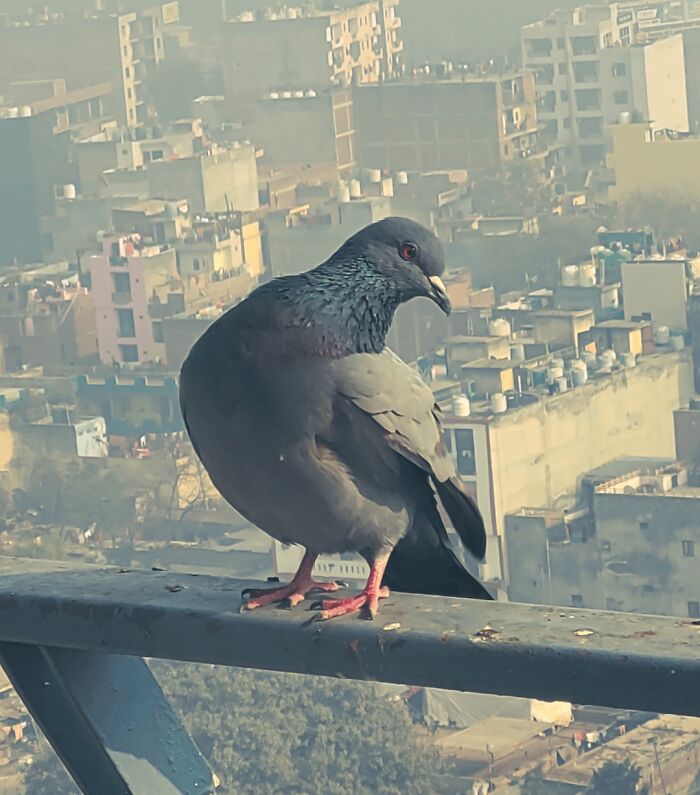 I Clicked... and It Posed Like a Pro