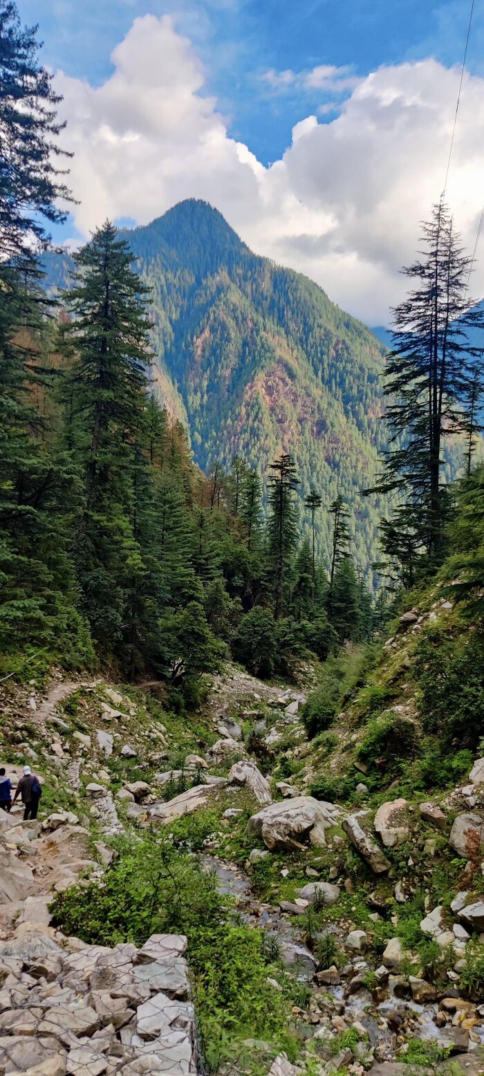 Unexpected Photo That Looks Like a Giant Wall Mural