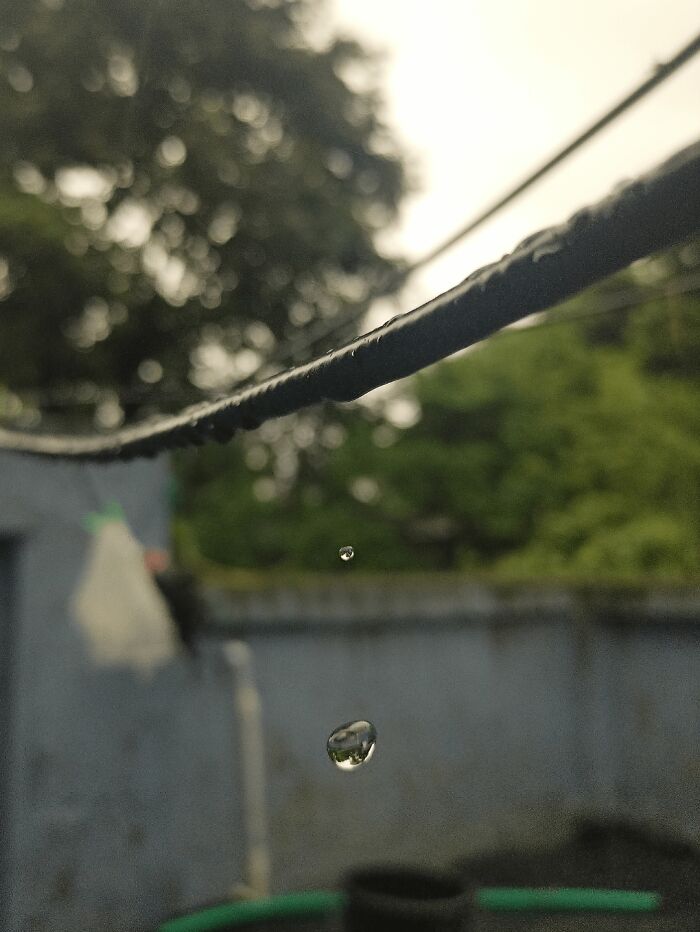 Patiently Waited and Got This Wow Shot