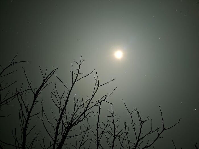 Random Click That Was Just Beautiful