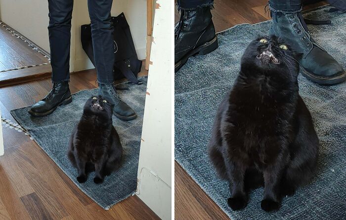 She’s The Queen of Derp and You Can’t Change My Mind