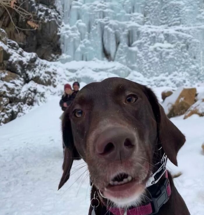 Classic Photobomb Level: Expert