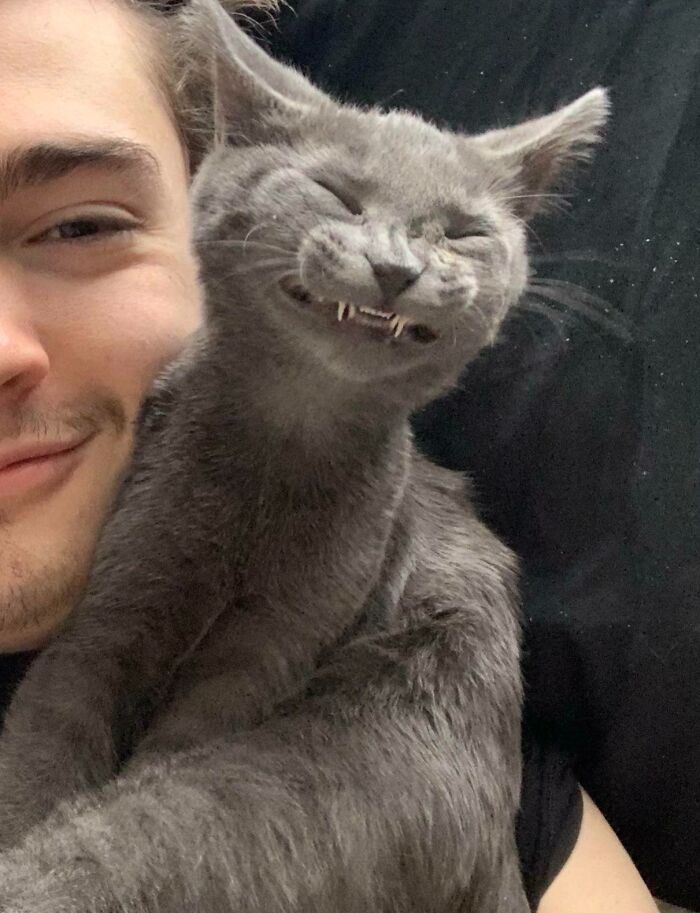 The Moment He Actually Smiled for the Camera