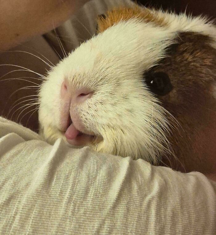 Snuggling Cuteness Overload, No Filter Needed