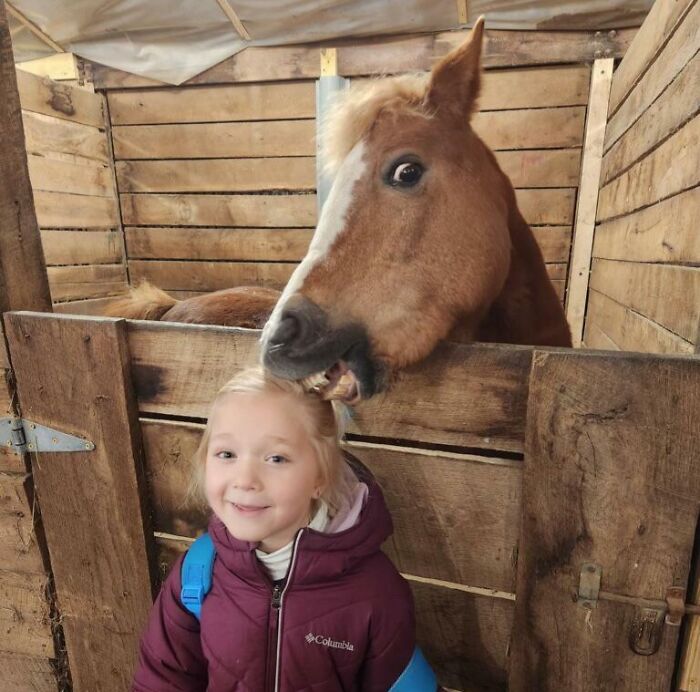 99 Animal Faces That Are Basically Comedy Gold