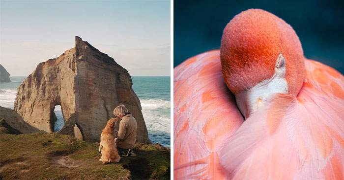 20 Animal Pics That Will Totally Blow Your Mind