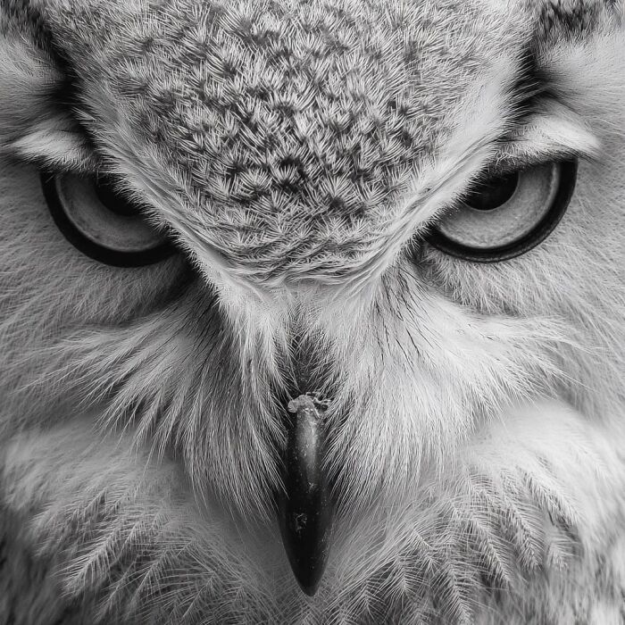 20 Animal Pics That Will Totally Blow Your Mind