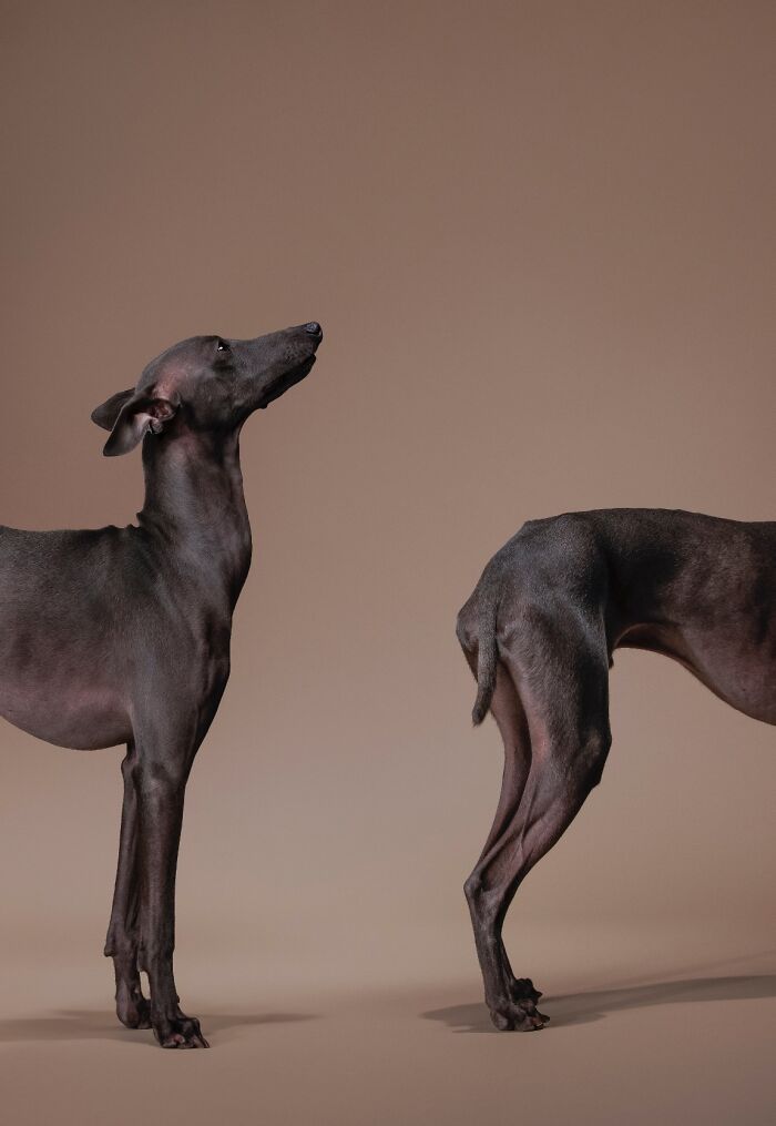 20 Animal Pics That Will Totally Blow Your Mind